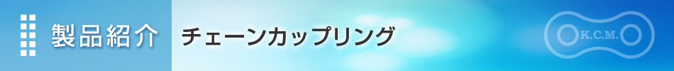 製品紹介 チェーンカップリング|埼玉県さいたま市　加賀工業株式会社